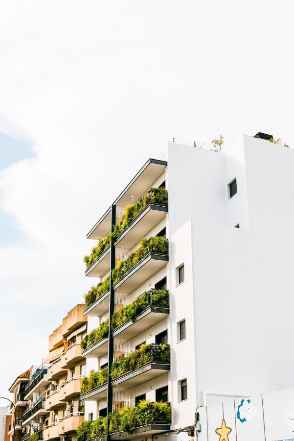 Treetriana * Seville